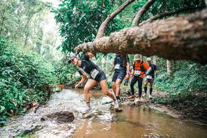 BIB: 
                            <button type="button" onclick="openModal(25375844)" class="btn btn-primary btn-sm float-right btn-popup" data-toggle="modal" data-target=".modal-high-quality">
                        <i class="fas fa-shopping-cart"></i> Add to Cart
                    </button>
                                            <button type="button" onclick="isThisMe(25375844, true)" class="btn btn-success btn-sm float-right btn-popup btn-isme hidden" data-toggle="tooltip" data-placement="bottom" title="นี่คือรูปของคุณใช่ไหม คลิกที่นี่เพื่อเอาเข้าอัลบั้ม">
                        <i class="fas fa-plus"></i> Add to album
                    </button>
                    <button type="button" onclick="isThisMe(25375844, false)" class="btn btn-warning btn-sm float-right btn-popup btn-isnotme hidden">
                        <i class="fas fa-ban"></i> Remove from album
                    </button>